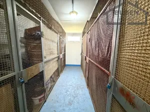 Prodej bytu 3+1, Planá, Fučíkova, 60 m2