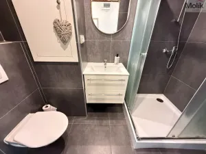 Prodej bytu 2+1, Teplice - Řetenice, V břízkách, 50 m2
