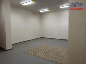 Pronájem skladu, České Budějovice, U Smaltovny, 65 m2