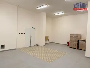 Pronájem skladu, České Budějovice, U Smaltovny, 65 m2