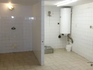 Pronájem výrobních prostor, Střelice, 120 m2