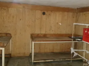 Pronájem výrobních prostor, Střelice, 120 m2