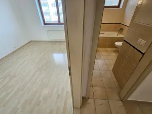 Pronájem bytu 2+kk, Praha, Rižská, 65 m2