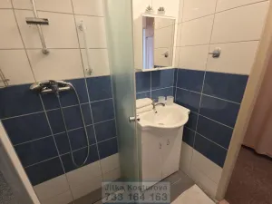 Prodej bytu 2+1, Krnov - Pod Bezručovým vrchem, Vrchlického, 60 m2