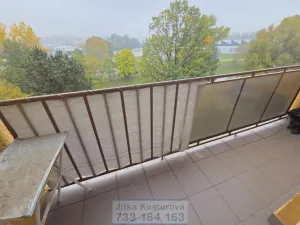 Prodej bytu 2+1, Krnov - Pod Bezručovým vrchem, Vrchlického, 60 m2