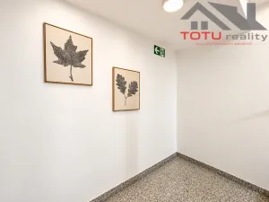Pronájem bytu 1+kk, Černožice, Gen. Svobody, 45 m2