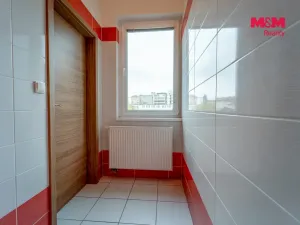 Pronájem bytu 1+1, Plzeň - Jižní Předměstí, Prokopova, 65 m2