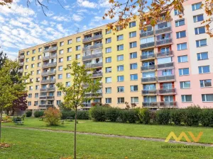 Pronájem bytu 1+1, Hradec Králové - Moravské Předměstí, Štefánikova, 38 m2