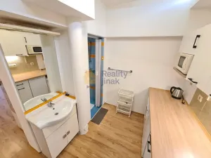 Prodej bytu 1+1, Brno - Staré Brno, Vodní, 24 m2