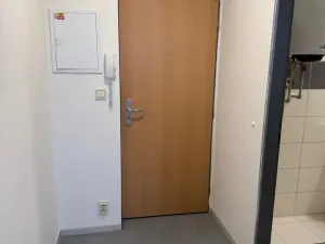 Pronájem bytu 1+1, Opava - Předměstí, Rybářská, 26 m2