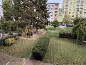 Prodej bytu 3+kk, Brno, Polní, 72 m2