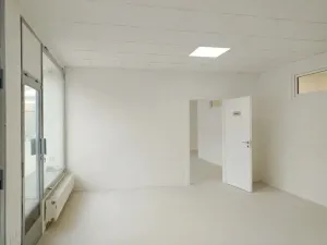 Pronájem obchodního prostoru, Brno, Palackého třída, 45 m2