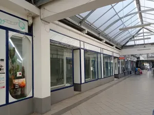 Pronájem obchodního prostoru, Brno, Palackého třída, 45 m2