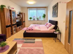 Prodej bytu 1+1, Osek nad Bečvou, 49 m2