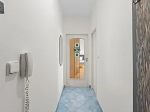 Prodej bytu 1+kk, Praha - Strašnice, Sečská, 32 m2