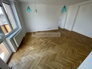 Pronájem bytu 3+kk, Plzeň - Jižní Předměstí, Alešova, 75 m2