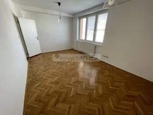 Pronájem bytu 3+kk, Plzeň - Jižní Předměstí, Alešova, 75 m2