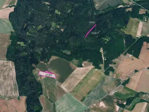 Prodej pole, Džbánice, 11072 m2