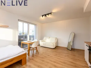 Prodej bytu 1+kk, Heřmanova Huť, U Pondu, 35 m2