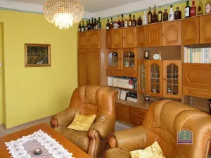 Prodej bytu 2+1, Příbram - Příbram VII, Edvarda Beneše, 56 m2