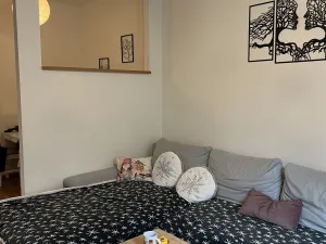 Pronájem bytu 2+kk, Plzeň - Jižní Předměstí, Kollárova, 55 m2
