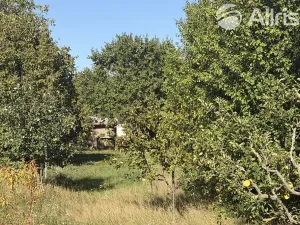 Prodej zahrady, Vojkovice, 910 m2