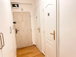 Prodej bytu 2+1, Praha - Žižkov, Osiková, 53 m2