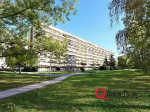 Prodej bytu 1+1, Hradec Králové, třída Edvarda Beneše, 42 m2