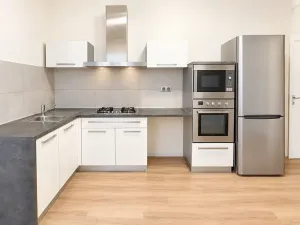 Prodej bytu 1+1, Brno, 48 m2