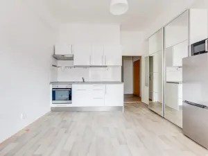Pronájem bytu 1+kk, Praha - Karlín, Sokolovská, 28 m2