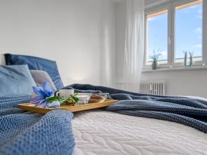Pronájem bytu 2+1, Most, Zdeňka Fibicha, 55 m2