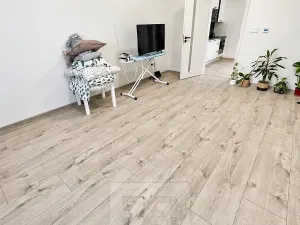 Pronájem bytu 1+1, Mělník, Pražská, 45 m2
