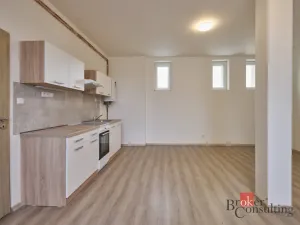 Pronájem bytu 1+kk, Mlékojedy, 43 m2
