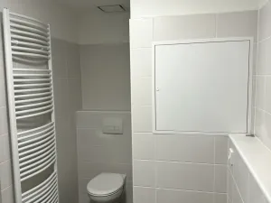 Pronájem bytu 1+kk, Olomouc, Wolkerova, 42 m2