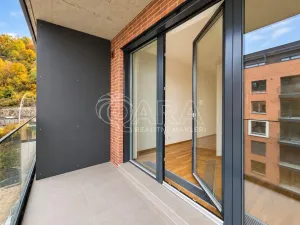 Pronájem bytu 1+kk, Praha - Karlín, Švarcova, 36 m2