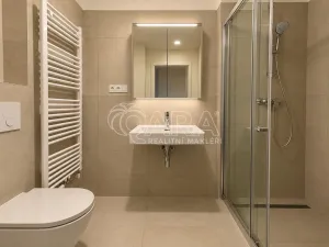 Pronájem bytu 1+kk, Praha - Karlín, Švarcova, 36 m2