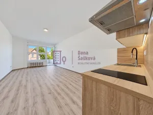 Pronájem bytu 1+kk, Jindřichův Hradec - Jindřichův Hradec II, Nádražní, 43 m2