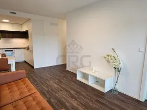 Pronájem bytu 2+kk, Brno - Veveří, Lidická, 55 m2