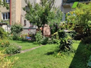 Pronájem bytu 3+kk, Hodonín, Muchova, 60 m2