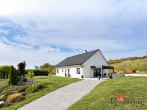 Prodej rodinného domu, Čížkovice, Na Ladech, 116 m2