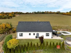 Prodej rodinného domu, Čížkovice, Na Ladech, 116 m2