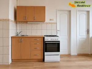 Pronájem bytu 1+1, Ostrava, Korunní, 45 m2
