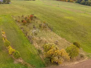 Prodej zahrady, Starý Jičín - Janovice, 10274 m2