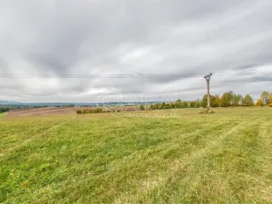 Prodej zahrady, Starý Jičín - Janovice, 10274 m2