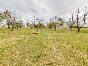 Prodej zahrady, Starý Jičín - Janovice, 10274 m2