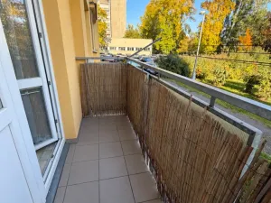 Prodej bytu 1+1, Hradec Králové - Pražské Předměstí, Jungmannova, 36 m2