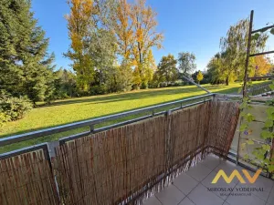 Prodej bytu 1+1, Hradec Králové - Pražské Předměstí, Jungmannova, 36 m2