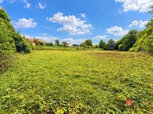 Prodej pozemku pro bydlení, Krhov, 8750 m2