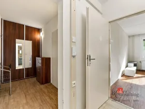 Prodej bytu 1+1, Plzeň - Severní Předměstí, Brněnská, 48 m2