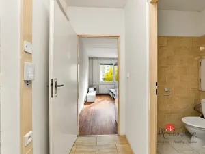 Prodej bytu 1+1, Plzeň - Severní Předměstí, Brněnská, 48 m2